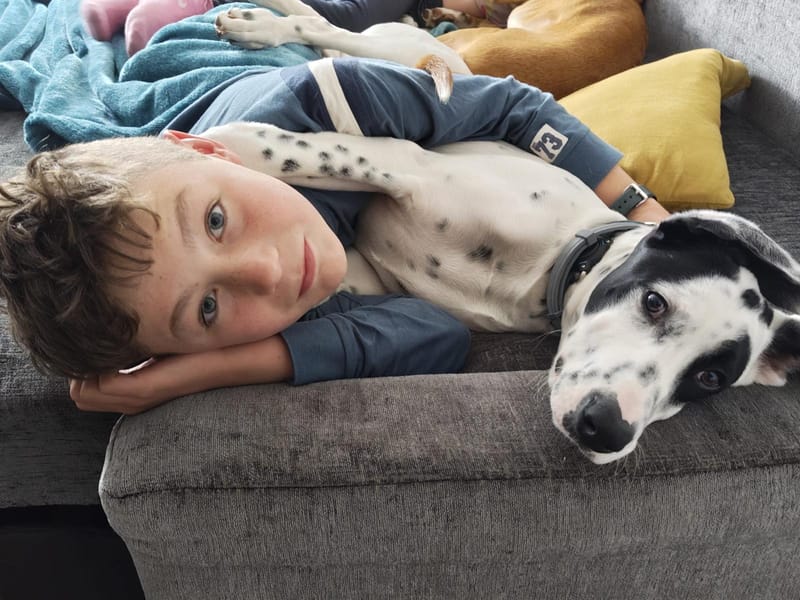 Hayden lying on the sofa with his arm around Patch, both looking at the camera.