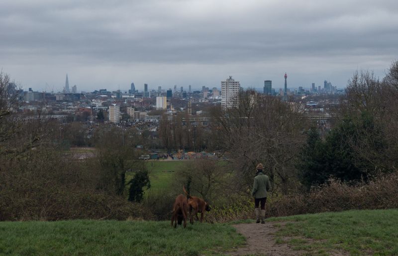 A woman and two brown dogs on a grassy hilltop path in a London park, looking out over the city skyline.