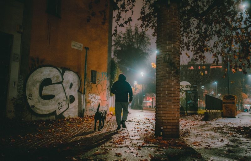 A man in a dark hooded jacket seen from behind, walking a black dog on a lead along a lamplit, leaf-strewn pavement on a misty autumn night.