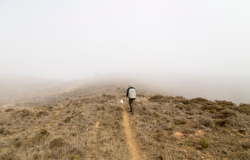 A walker seen from behind following a small white dog up a narrow path over a fog-covered hill.