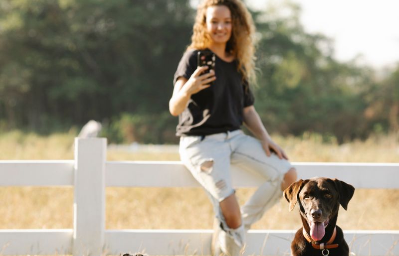 A woman sitting on a white fence in a sunny field, taking a selfie on her phone, with a chocolate Labrador in the foreground.